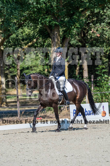 Kronenberg - De Peelbergen (August 2020)