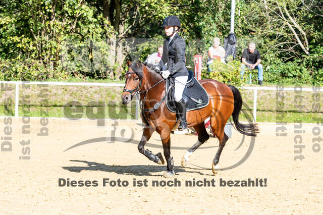 RFV Dinslaken-Hiesfeld (Herbstturnier)