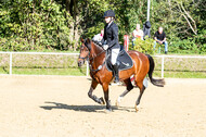 RFV Dinslaken-Hiesfeld (Herbstturnier)