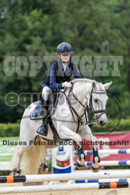 Goldene Schärpe 2021 - Ponys