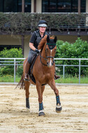 Hunter Geländetraining 10.07.2021 (Sonsbeck)