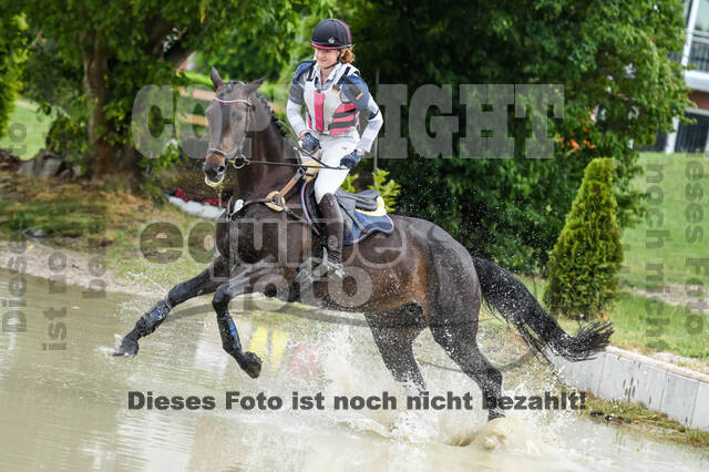 Late-Entry-Vielseitigkeit Langenfeld (11.+13./14.06.2020)