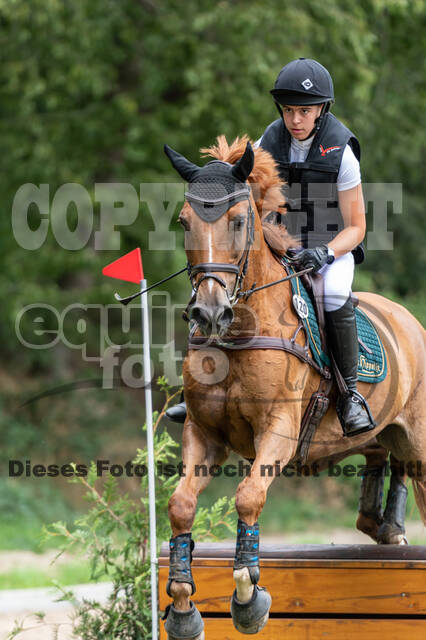 Late-Entry-Vielseitigkeit Langenfeld (06.+07.07.2020)