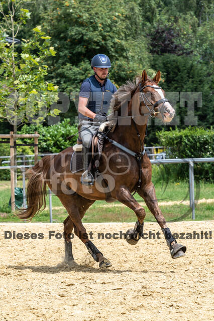 Hunter Geländetraining 10.07.2021 (Sonsbeck)