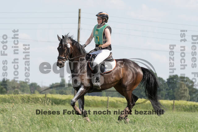 Vielseitigkeitsturnier ZRuFV von Lützow Hamminkeln