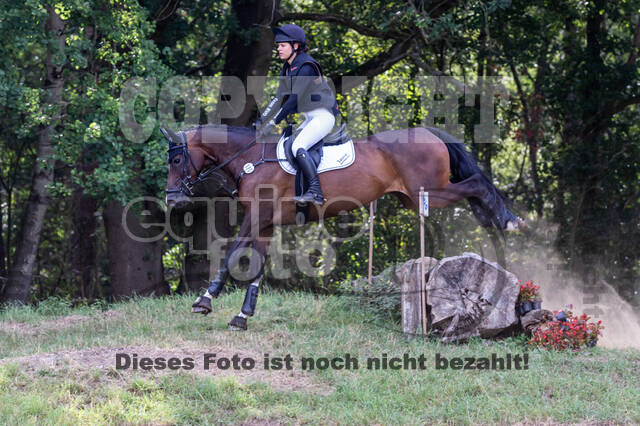 Late-Entry Vielseitigkeit Hamminkeln/Wesel (01.+02.08.2020)