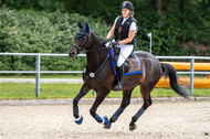 Late-Entry-Vielseitigkeit Langenfeld (11.+13./14.06.2020)