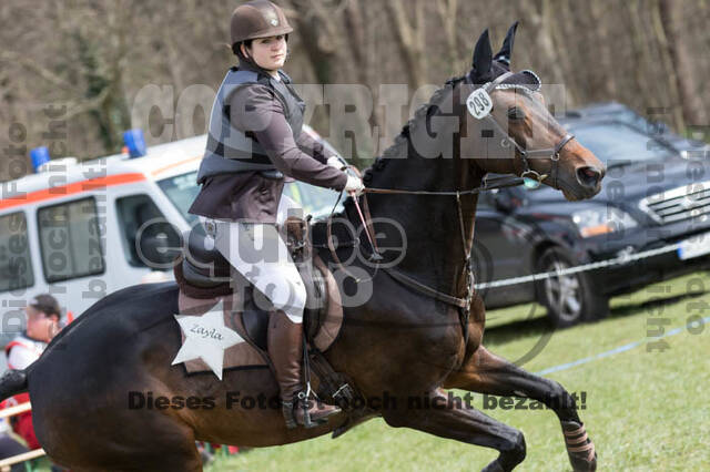 Frühjahrsvielseitigkeit RV Seydlitz Kamp
