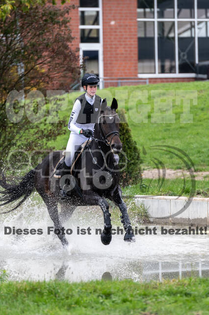 Goldene Schärpe 2020 - Pferde