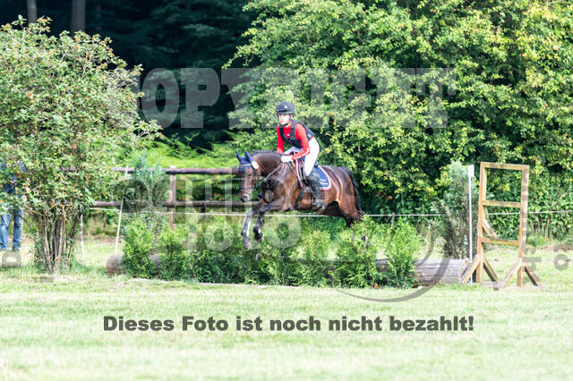 Goldene Schärpe 2021 - Ponys