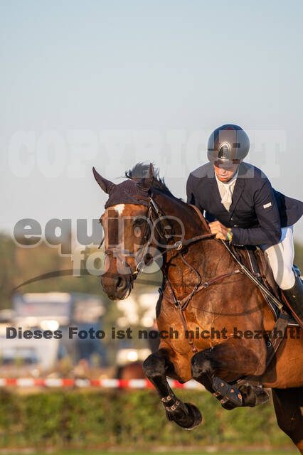 De Peelbergen (August 2020)