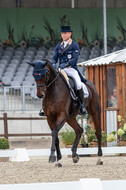 Deutsche Meisterschaft Vielseitigkeit (Luhmühlen)