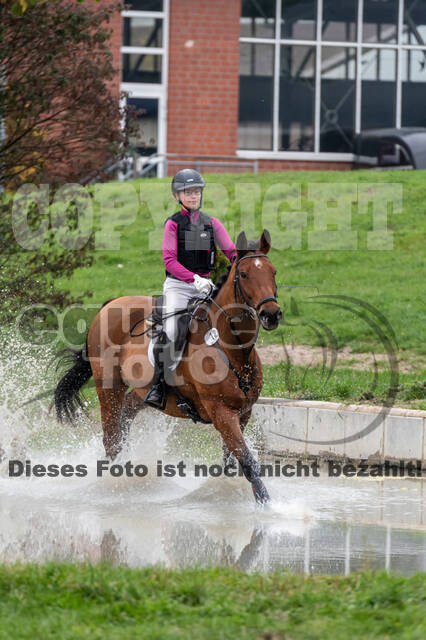 Goldene Schärpe 2020 - Pferde