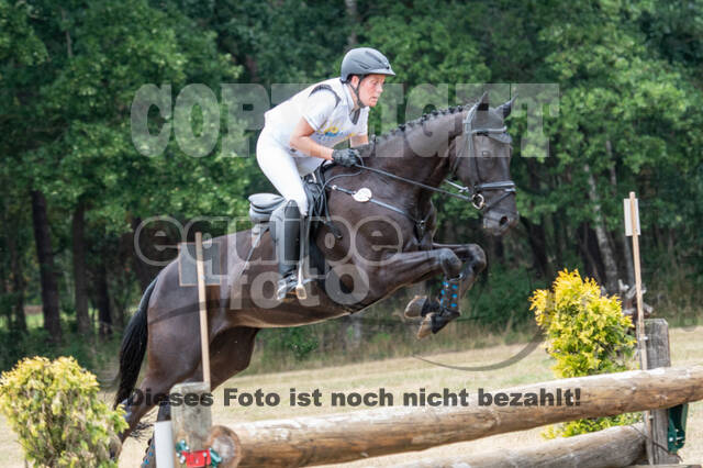 Late-Entry Vielseitigkeit Hamminkeln/Wesel (01.+02.08.2020)