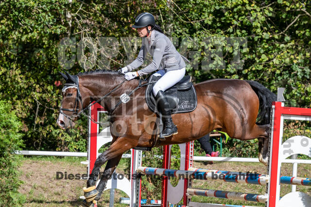 RFV Dinslaken-Hiesfeld (Herbstturnier)