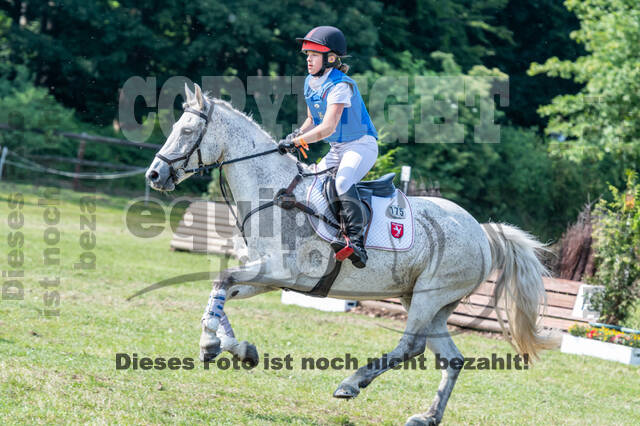 Goldene Schärpe 2021 - Ponys