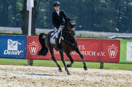 Goldene Schärpe 2021 - Ponys