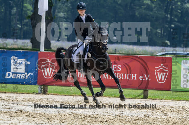 Goldene Schärpe 2021 - Ponys