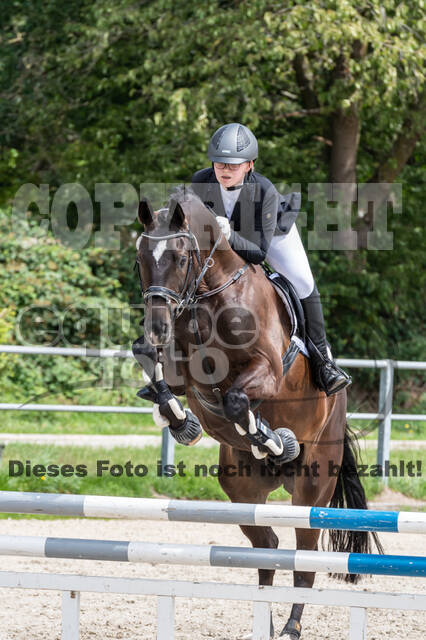 Late-Entry-Vielseitigkeit Langenfeld (06.+07.07.2020)