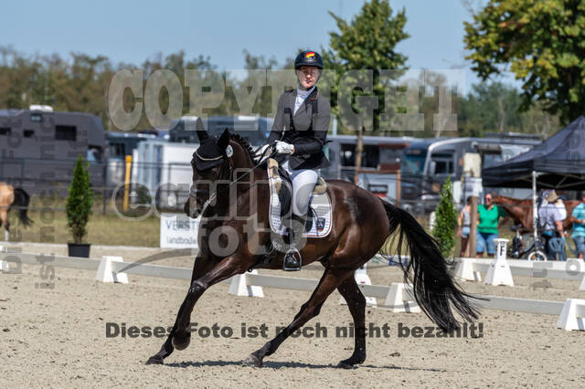 Kronenberg - De Peelbergen (August 2020)