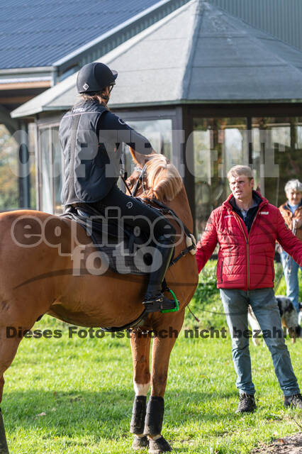 IGV Lehrgang der Sieger der Cups mit Frank Ostholt
