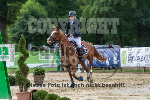 Goldene Schärpe 2021 - Ponys