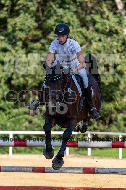 RFV Dinslaken-Hiesfeld (Herbstturnier)