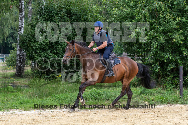 Hunter Geländetraining 10.07.2021 (Sonsbeck)