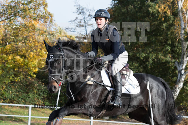 IGV Lehrgang der Sieger der Cups mit Frank Ostholt