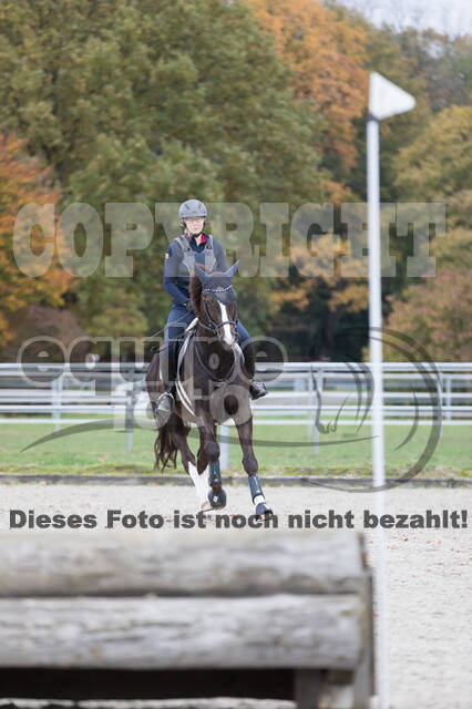 IGV Lehrgang der Sieger der Cups mit Frank Ostholt