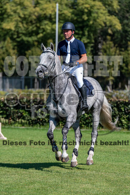 Kronenberg - De Peelbergen (August 2020)