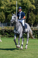 Kronenberg - De Peelbergen (August 2020)
