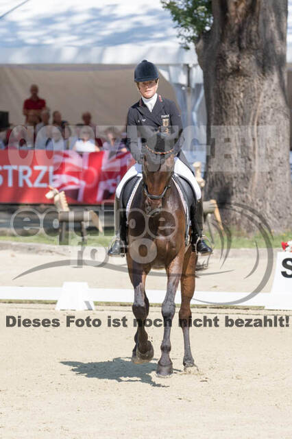 FEI European Championship Eventing 2017