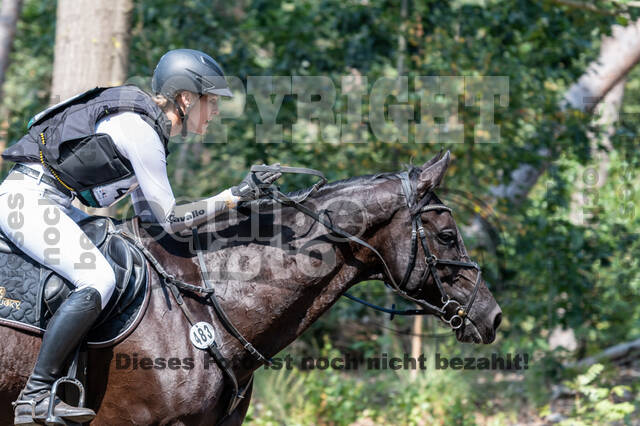 De Peelbergen (August 2020)