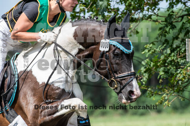 Late-Entry-Vielseitigkeit Gahlen (18.07.2020)