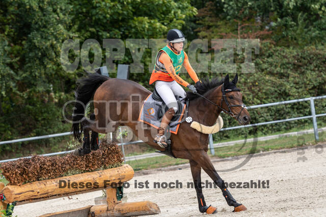 Landesturnier Rheinland, Vielseitigkeit, 22.+23.08.2020