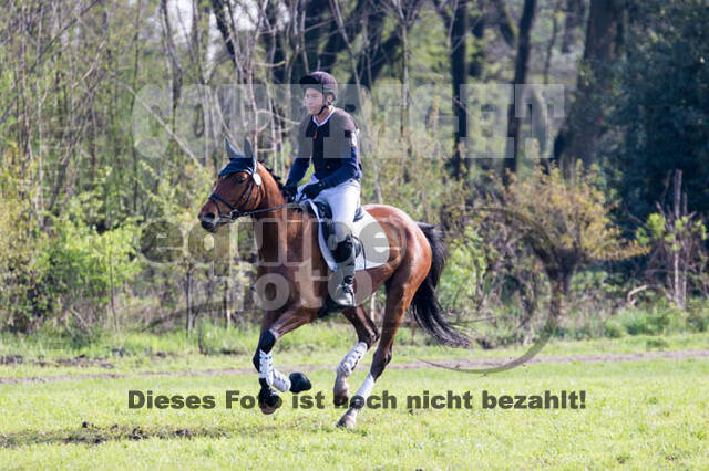 Vielseitigkeitsturnier RV Lippe-Bruch-Gahlen