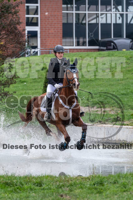 Goldene Schärpe 2020 - Pferde