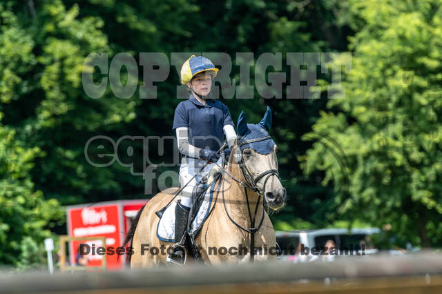 Goldene Schärpe 2021 - Ponys