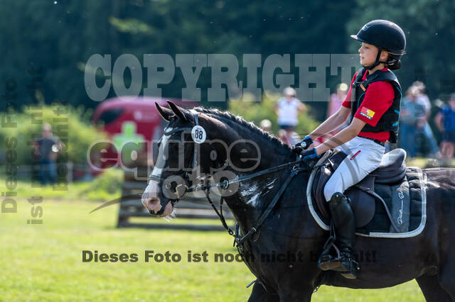 Goldene Schärpe 2021 - Ponys