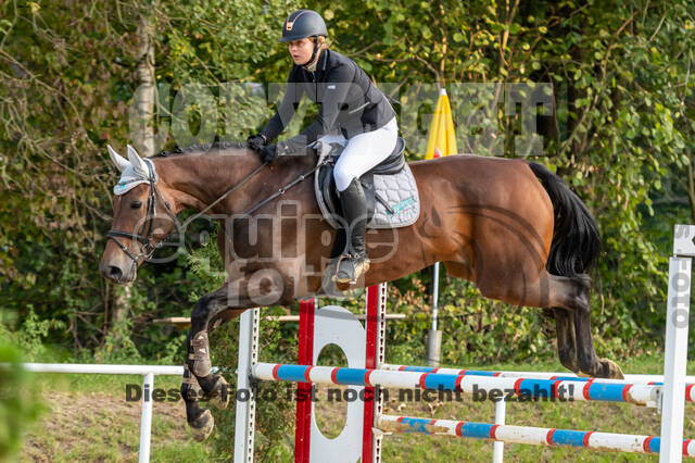 RFV Dinslaken-Hiesfeld (Herbstturnier)