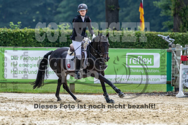 Goldene Schärpe 2021 - Ponys