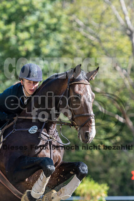 RFV Dinslaken-Hiesfeld (Herbstturnier)