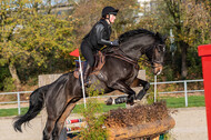 IGV Lehrgang der Sieger der Cups mit Frank Ostholt