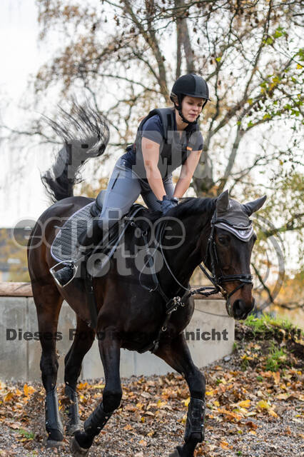 IGV Lehrgang der Sieger der Cups mit Frank Ostholt
