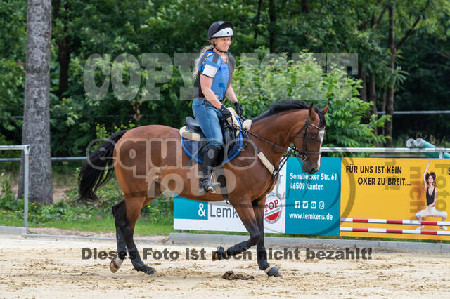 Hunter Geländetraining 10.07.2021 (Sonsbeck)