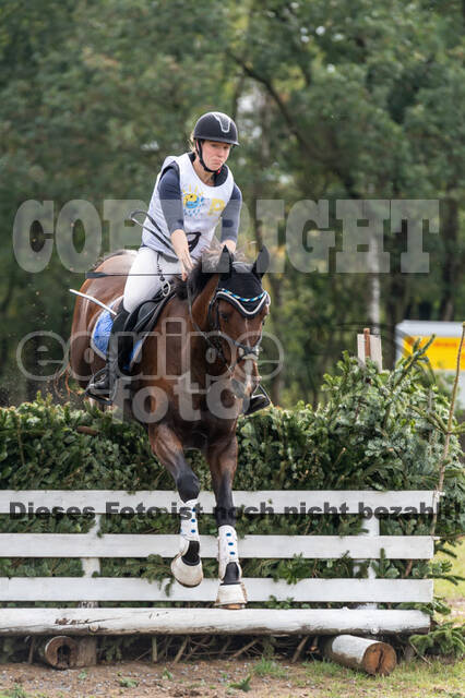 Vielseitigkeit RSV Wesel Obrighoven (26.+27.09.2020)