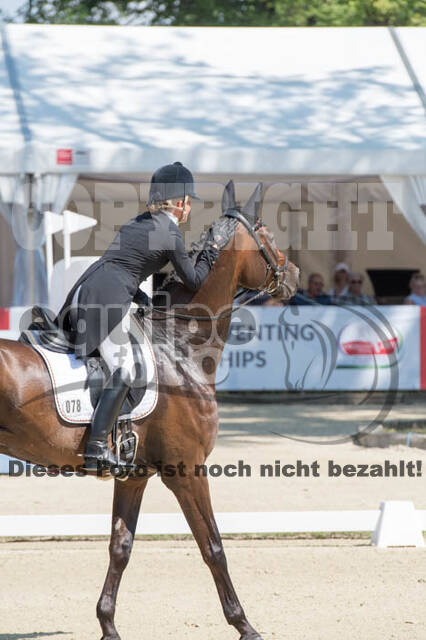 FEI European Championship Eventing 2017