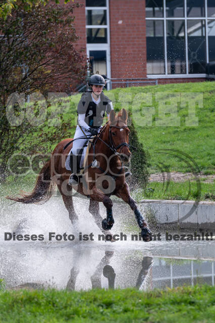 Goldene Schärpe 2020 - Pferde