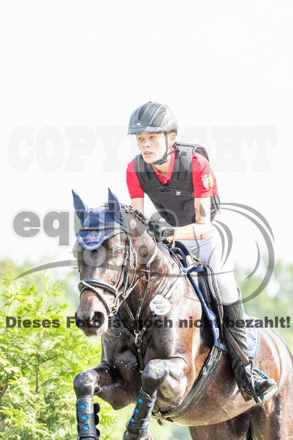 Goldene Schärpe 2021 - Ponys